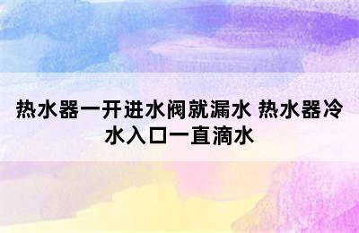 热水器一开进水阀就漏水 热水器冷水入口一直滴水